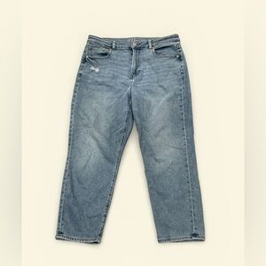 American Eagle Classic Blue Denim Mom Jeans Size 14 Short